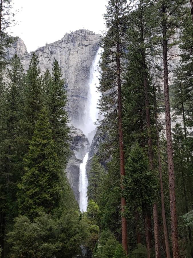 Yosemite Foothill Retreat Coarsegold Exterior foto
